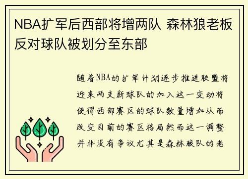 NBA扩军后西部将增两队 森林狼老板反对球队被划分至东部